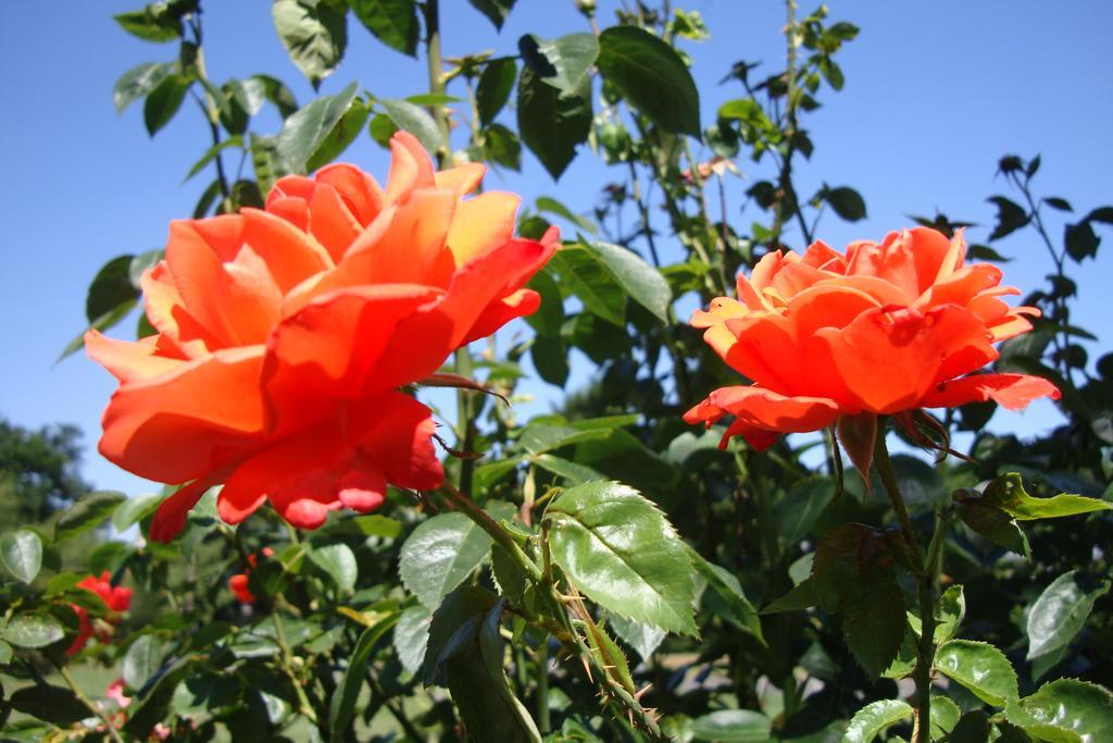 Pinfield Boutique Hotel Hedgerley Dış mekan fotoğraf